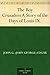 The Boy Crusaders A Story of the Days of Louis IX.