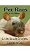 Pet Rats