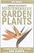 Lorraine Cavanagh's Mediterranean Garden Plants by Lorraine Cavanagh