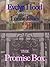 The Promise Box
