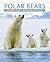 Polar Bears by Andrew E. Derocher