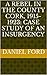 A Rebel in the County Cork, 1915-1923: Case Study of an Insurgency (Long Essay, submitted in partial fulfillment of the M.A. degree at King's College London)