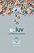 E-luv: An Internet Romance
