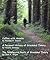 Grounded Theory as Open-End...