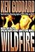 Wildfire (Special Agent Henry Lightstone Series Book 2)