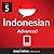 Learn Indonesian - Level 5:...