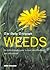 Weeds: An Earth-friendly Guide to Their Identification, Use and Control