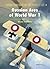 Russian Aces of World War 1 (Aircraft of the Aces 111)