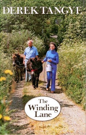 The Winding Lane (Hardcover)