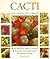 Cacti :