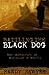 Battling the Black Dog: Raw Confessions of Depression in Ministry
