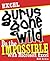 Excel Gurus Gone Wild: Do the IMPOSSIBLE with Microsoft Excel