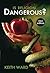 Is Religion Dangerous?: New Edition