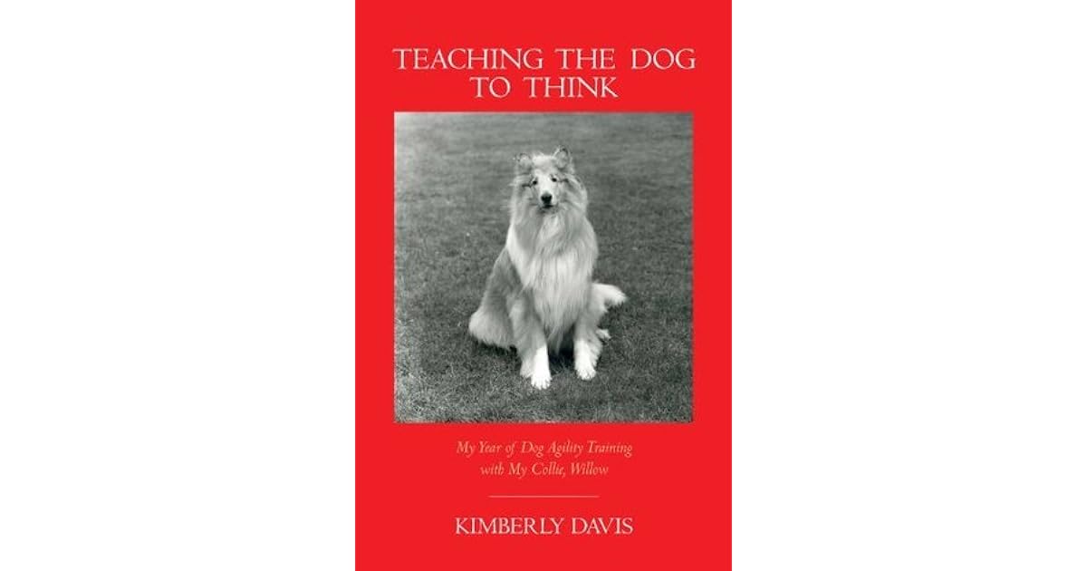 teaching dog agility