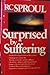 Surprised by Suffering