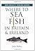 Where to Sea Fish in Britain and Ireland
