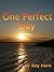 One Perfect Day