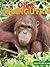 Ollie the Orangutan (True T...