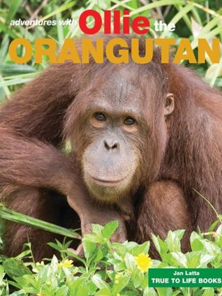 Ollie the Orangutan (True To Life Books Book 3)