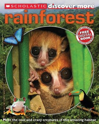 Rainforest (Paperback)