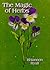 The Magic of Herbs by Ryall, Rhiannon (1997) Paperback by Rhiannon Ryall