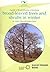 A Guide to the Identification of Deciduous Broad-leaved Trees and Shrubs in Winter
