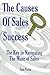 The Causes of Sales Success