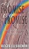 A Promise is a Pr...