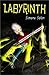 Labyrinth: An Interactive Adventure