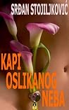 Drops of Painted Heaven (Serbian Edition) Drops of Painted Heaven (Serbian Edition)