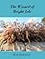 The Wizard of Bright Isle (The Wizard of Bright Isle, #1)