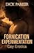 Fornication Experimentation (Fornication Experimentation Series Book 1)