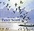 The Art of Peter Scott - Im...