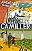 Angelica's Smile (Inspector Montalbano #17)