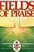 Fields of praise: The official history of the Welsh Rugby Union, 1881-1981