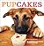 Pupcakes