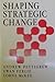 Shaping Strategic Change: Making Change in Large Organizations: The Case of the National Health Service