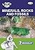 I-Spy Minerals, Rocks and Fossils
