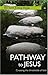 Pathway to Jesus