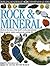 Rock & Mineral (Eyewitness Guides: 2)