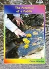 The Potential of a Puddle