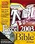 Excel 2003 Bible