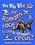 Why Why Why Did Romans Race to the Circus?