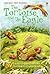 The Tortoise and the Eagle (Usborne First Reading Level 2)