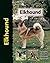 Elkhound
