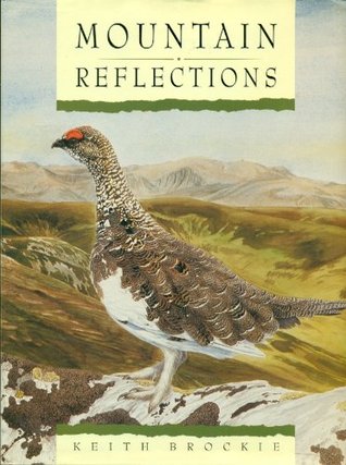 Mountain Reflections (Hardcover)