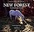The New Forest National Park by Sally Lewis