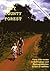 City County Forest: Forty B...