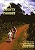 City County Forest by Tim  Hughes