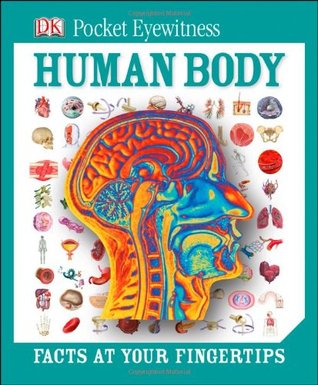 Human Body (Hardcover)
